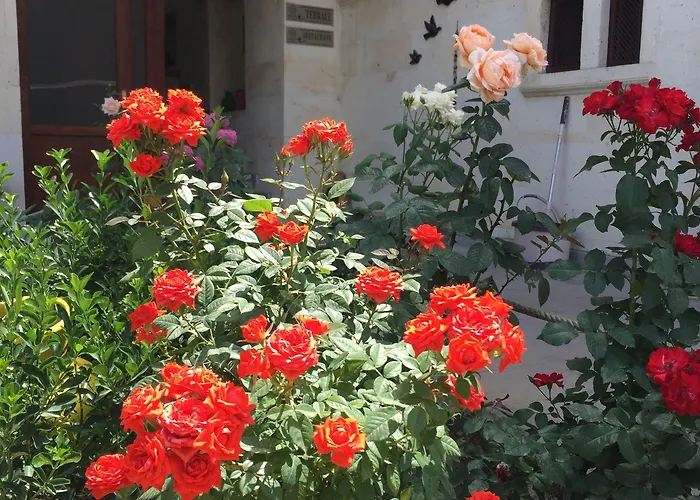 Hotel Cappadocia Ozbek Stone House Göreme
