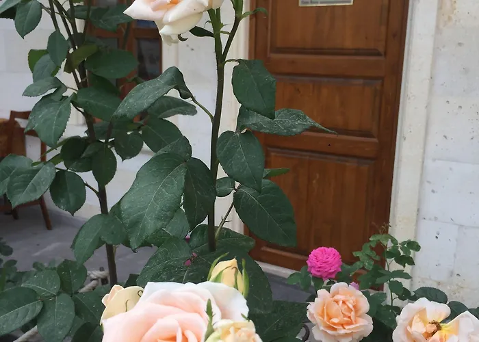 Hotel Cappadocia Ozbek Stone House