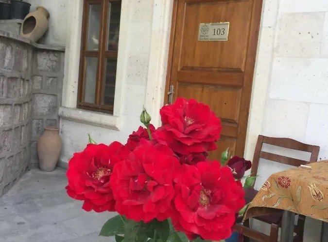 Cappadocia Ozbek Stone House