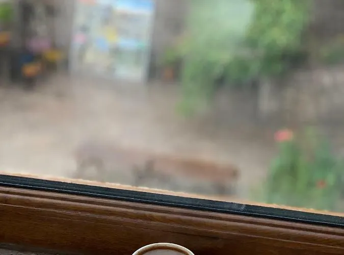 Cappadocia Ozbek Stone House Hotel Göreme